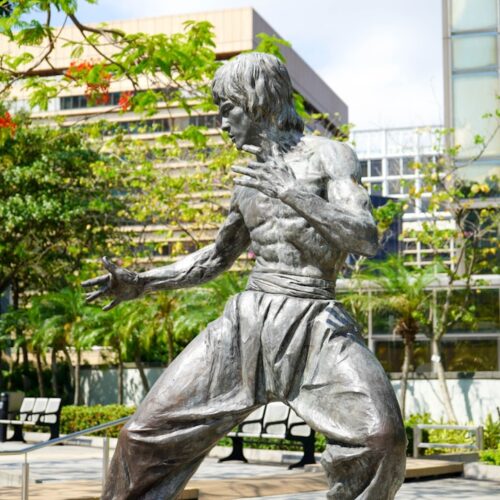 Photo Image: Martial arts Nouns: Kick, Roundhouse
